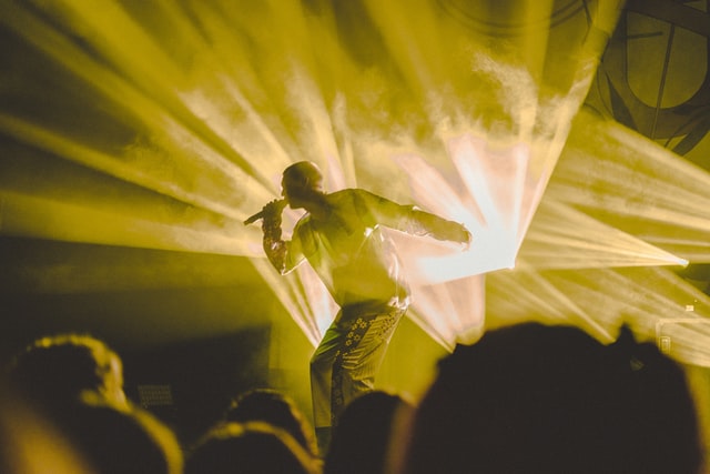 Musician performing at a concert