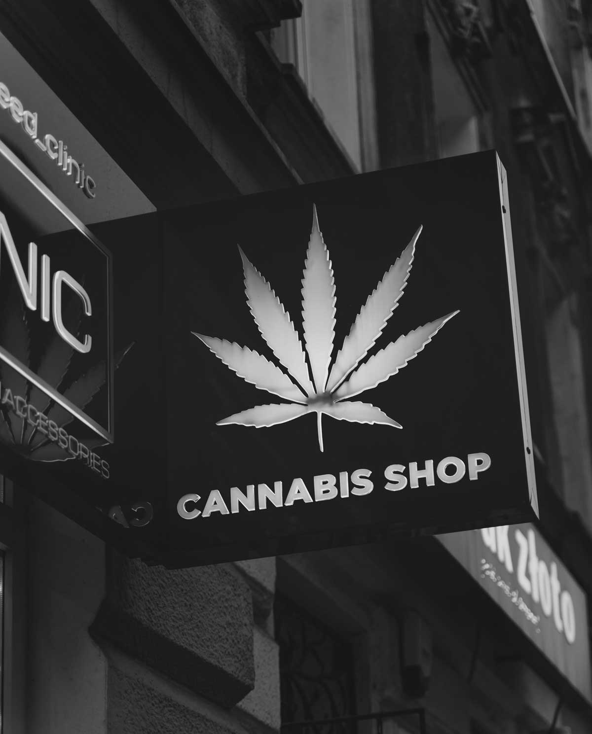 cannabis shop