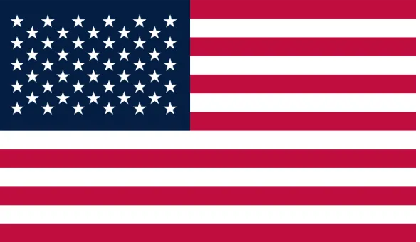 An American flag.