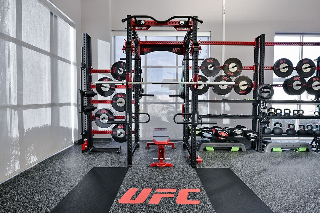 UFC Apex