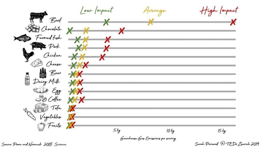 Sarah Perreard's Tedx Zurich - greenhouse gas emissions transparency