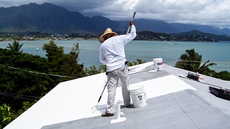 Image credit: Paul Gilding "white roofs" project