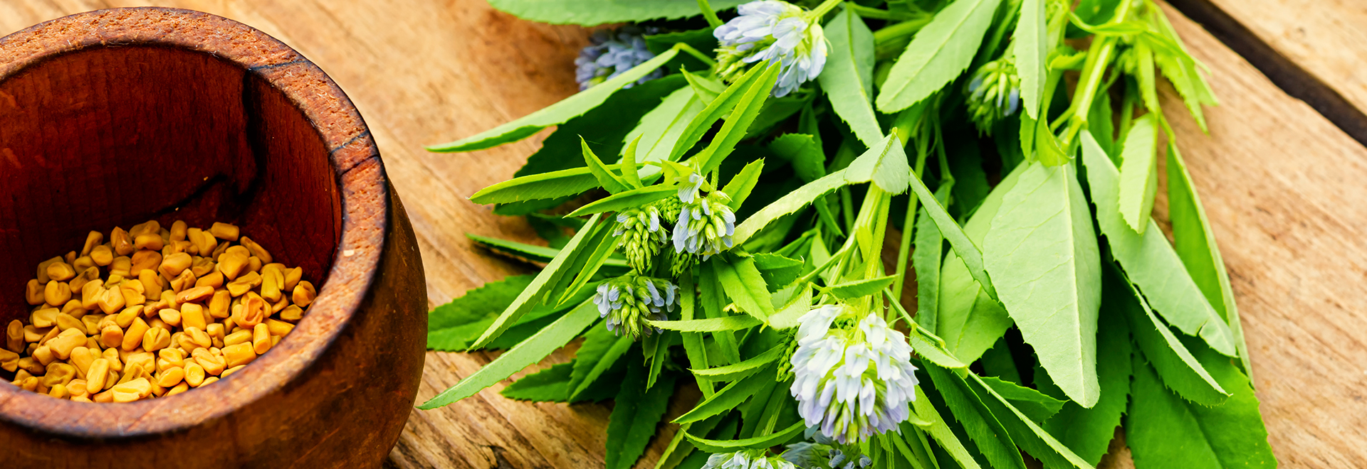 6 Awesome Fenugreek Benefits for Hair Health Strut Blog