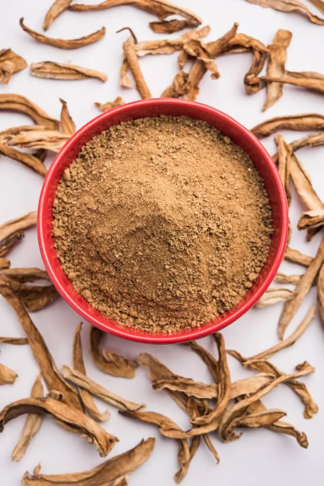 Dry Mango Powder / Amchur Powder | Commercial Dehydrators