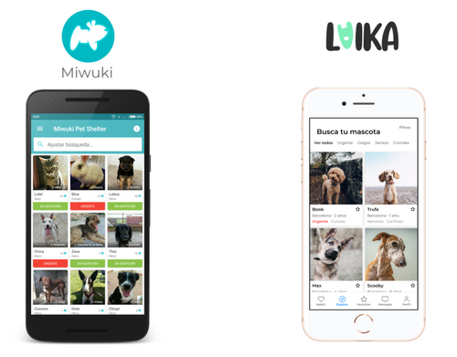 Comparison with Miwuki