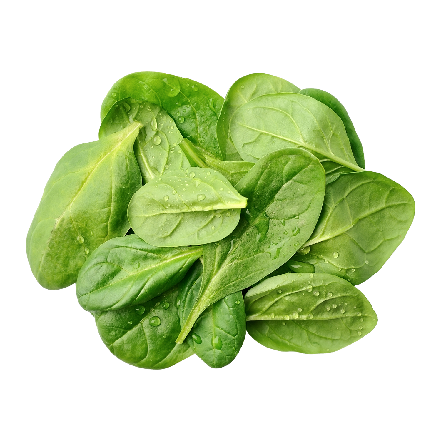 Optimal Iron, 120 caps Optimal Health Systems