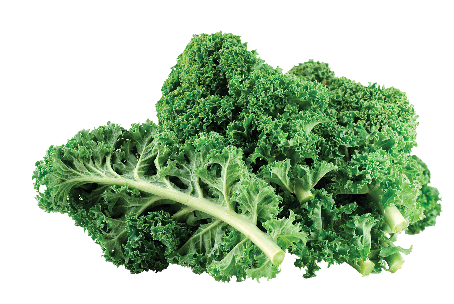 Essential Magnesium 619587048123 Optimal Health Systems