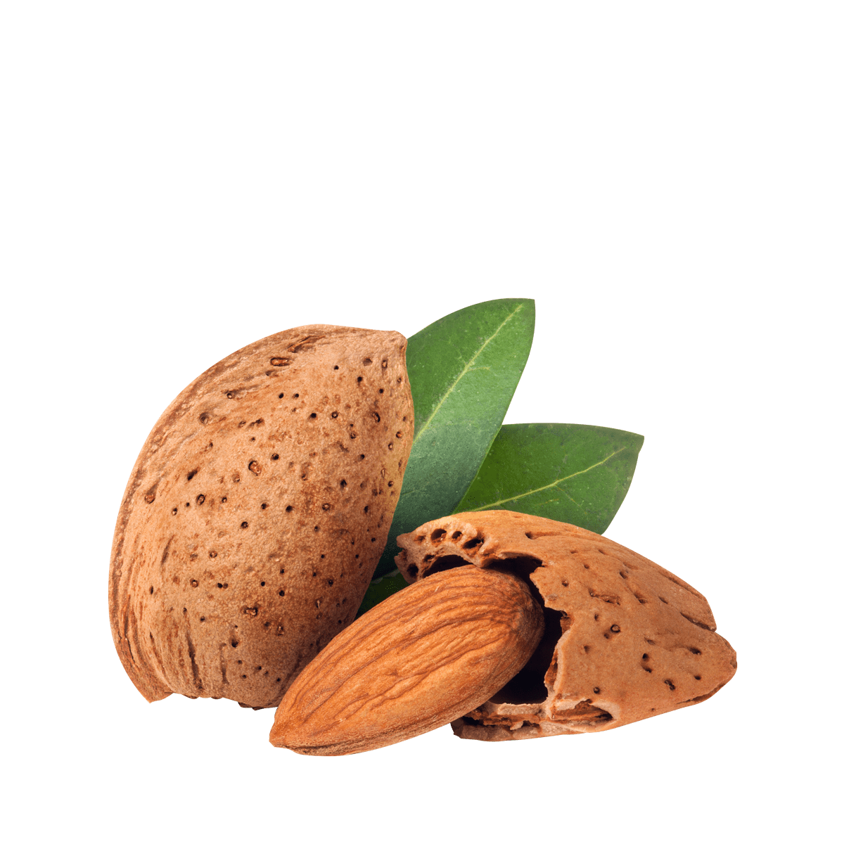 Essential Zinc Optimal Health Systems