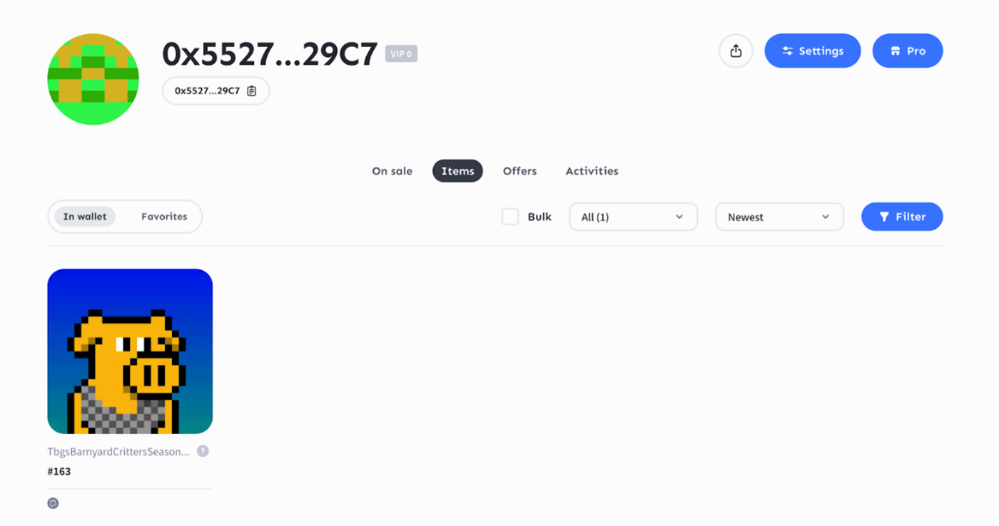 The First-Ever Multichain NFT Marketplace