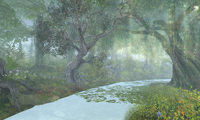 Gooseberry Forest