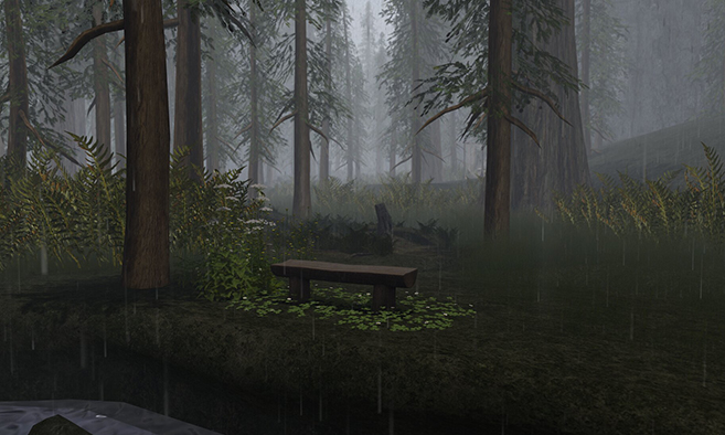 The Cha Redwoods