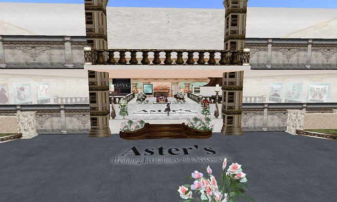 Aster's