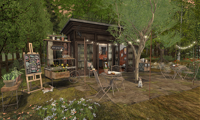 The Dancing Rabbit Cafe