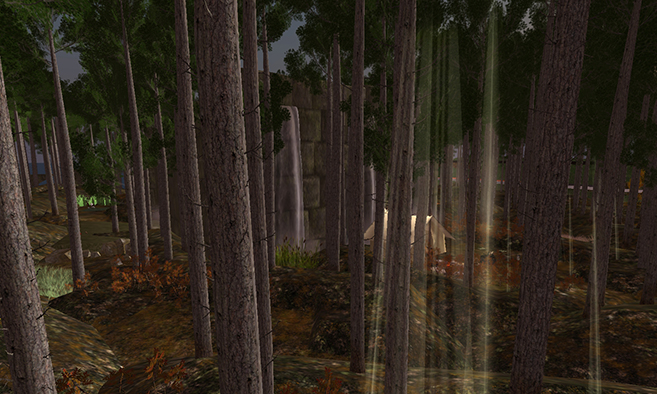 Steeliehook Public Forest
