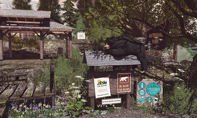 The Nature Collective