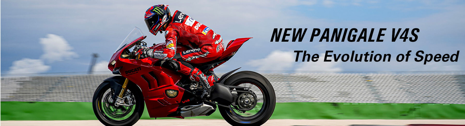 commonwealth ducati