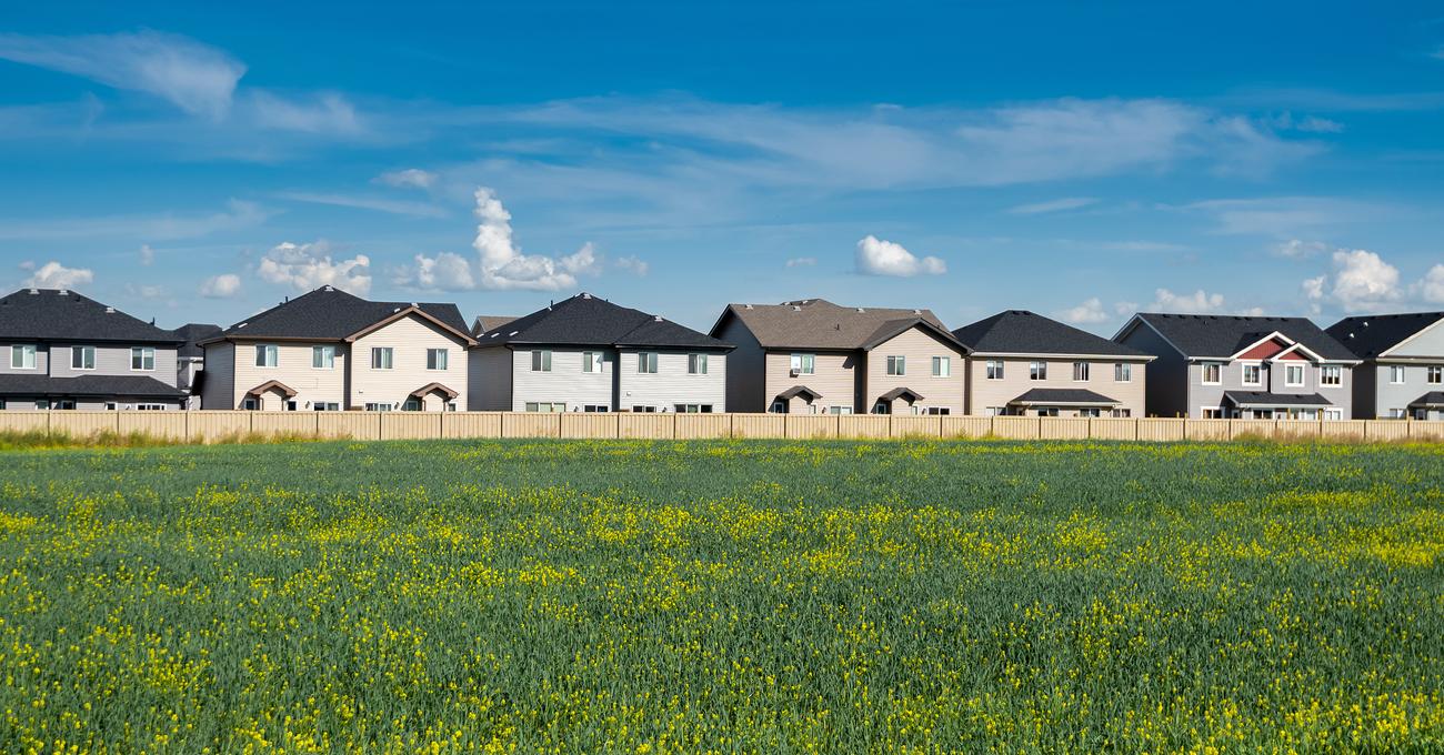 Can You Buy Land From The Government? askBAMLand