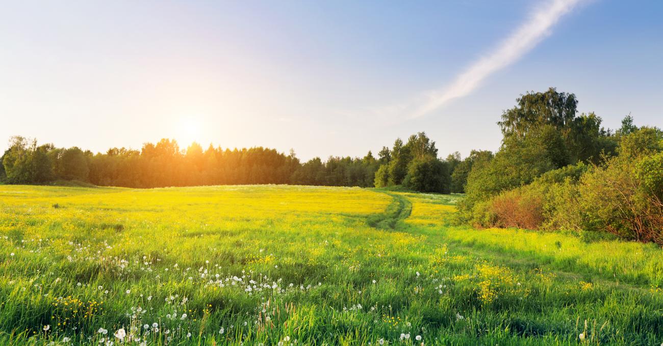 How Much Land Do The Kilchers Own? askBAMLand