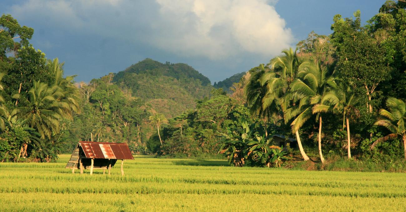 Price Of Agricultural Land In The Philippines askBAMLand