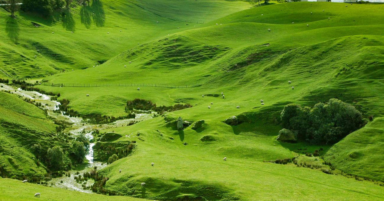 Can Americans Buy Land In New Zealand? askBAMLand