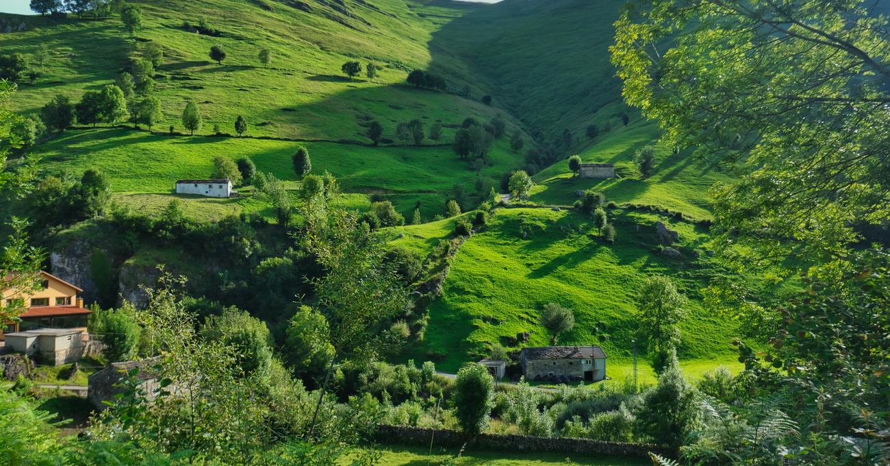 Can I Buy Land In Greenland? askBAMLand