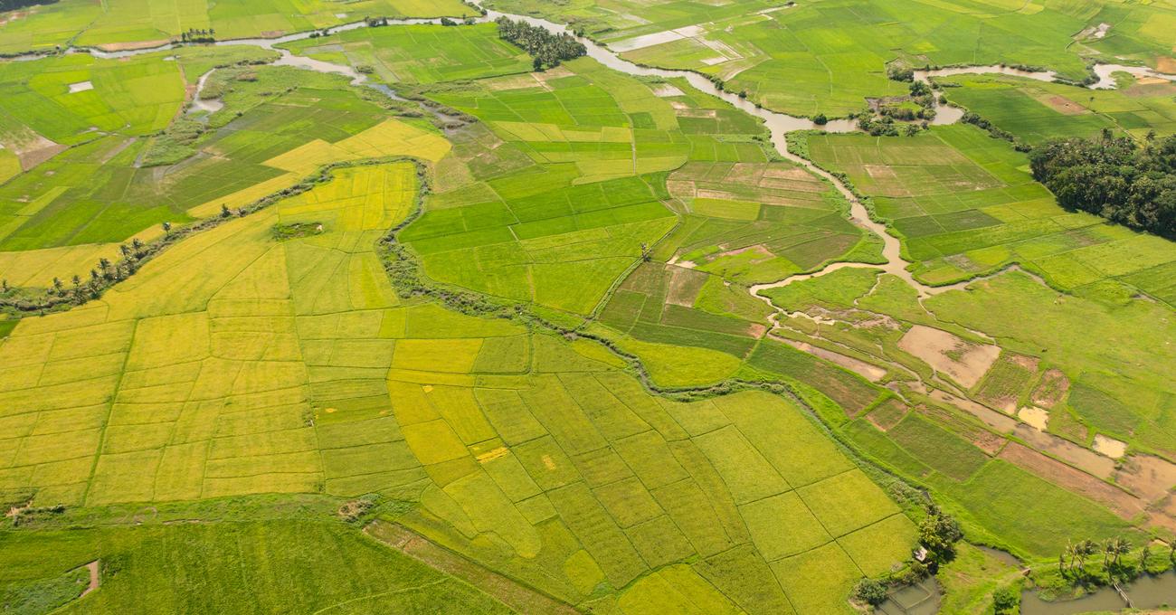 How To Buy Land In Philippines As A Foreigner askBAMLand