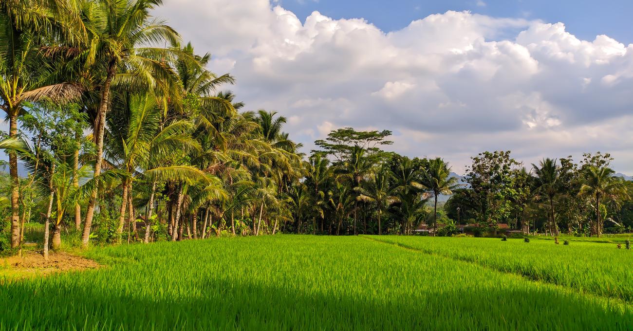 How To Buy Land In Bali askBAMLand