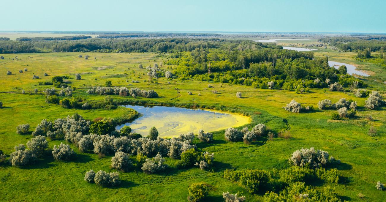 How To Buy Land In Greenland askBAMLand