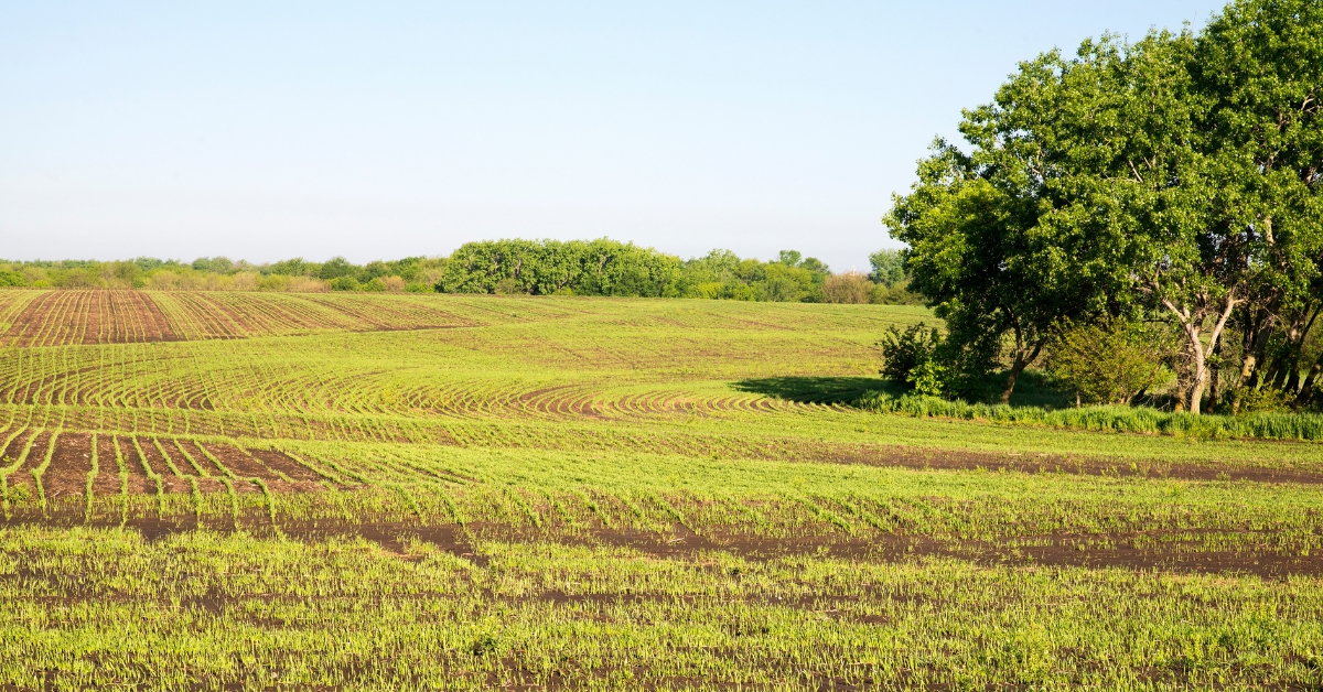 Best States To Buy Farmland askBAMLand