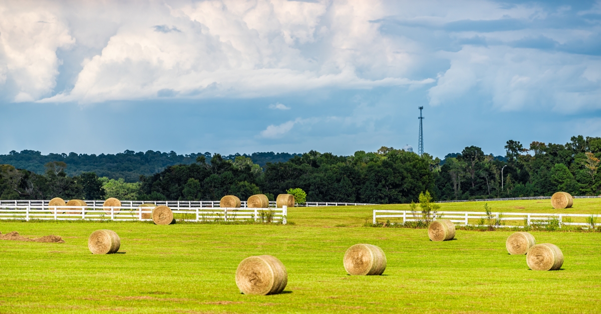 Best States To Buy Farmland askBAMLand