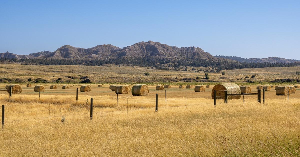 Best States To Buy Farmland askBAMLand