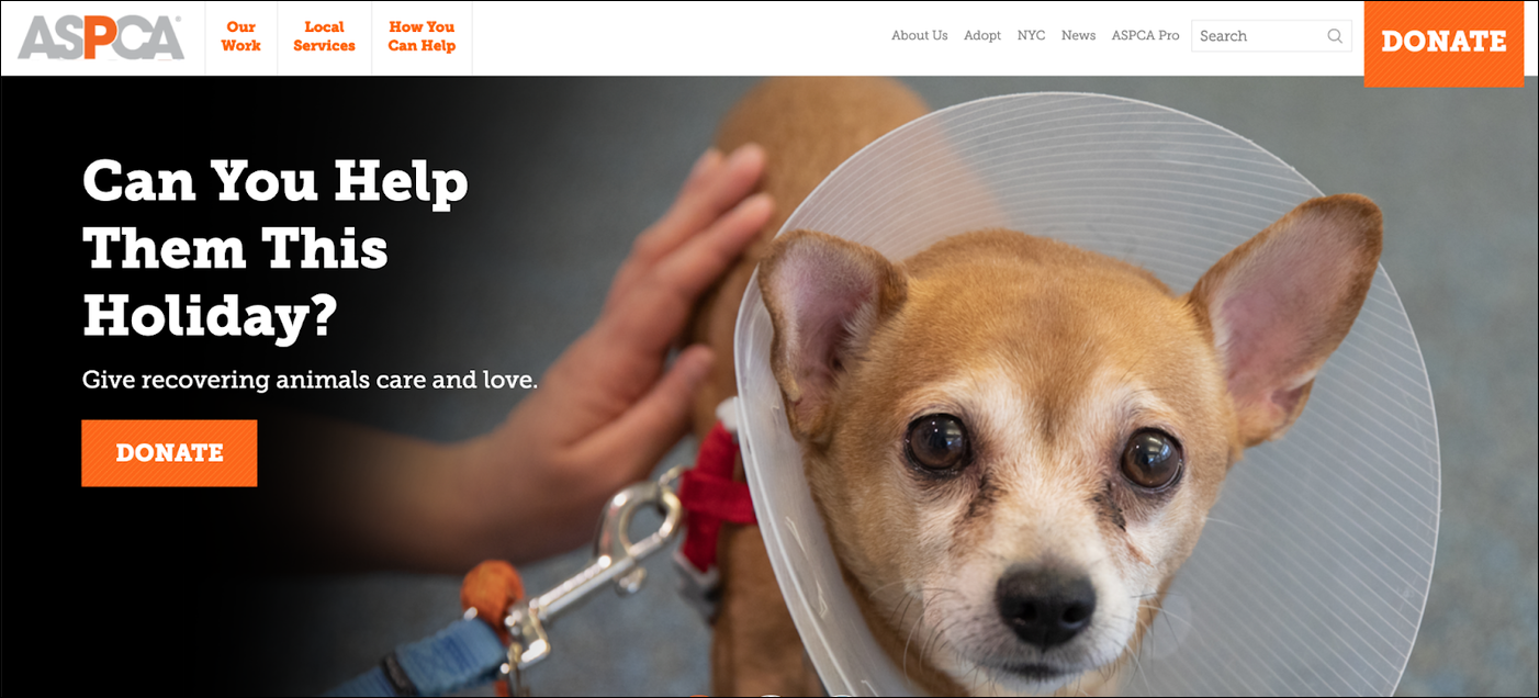 Starting a Charity: A 9-Step Beginner's Guide | Instrumentl