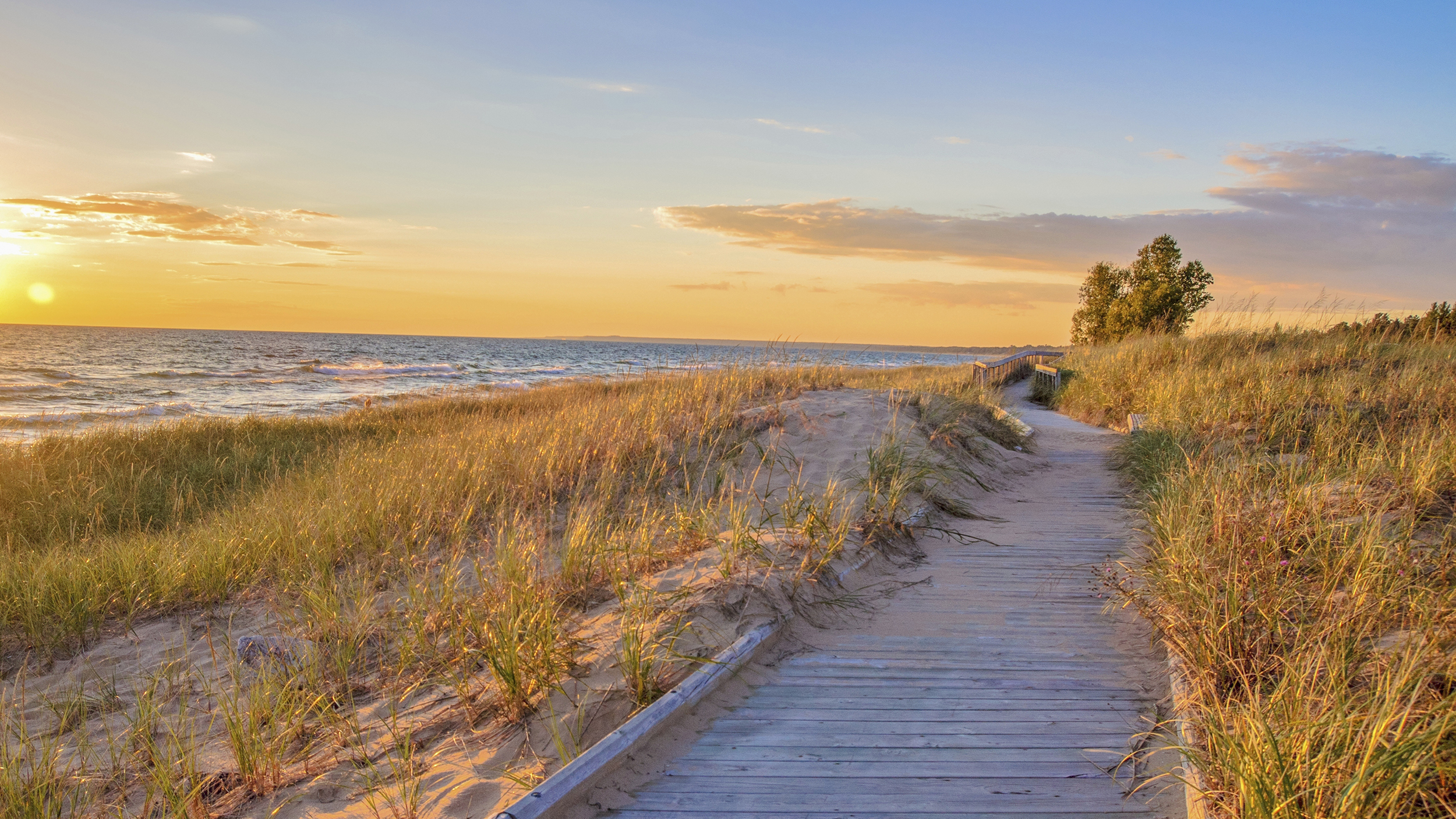 Find your dream home