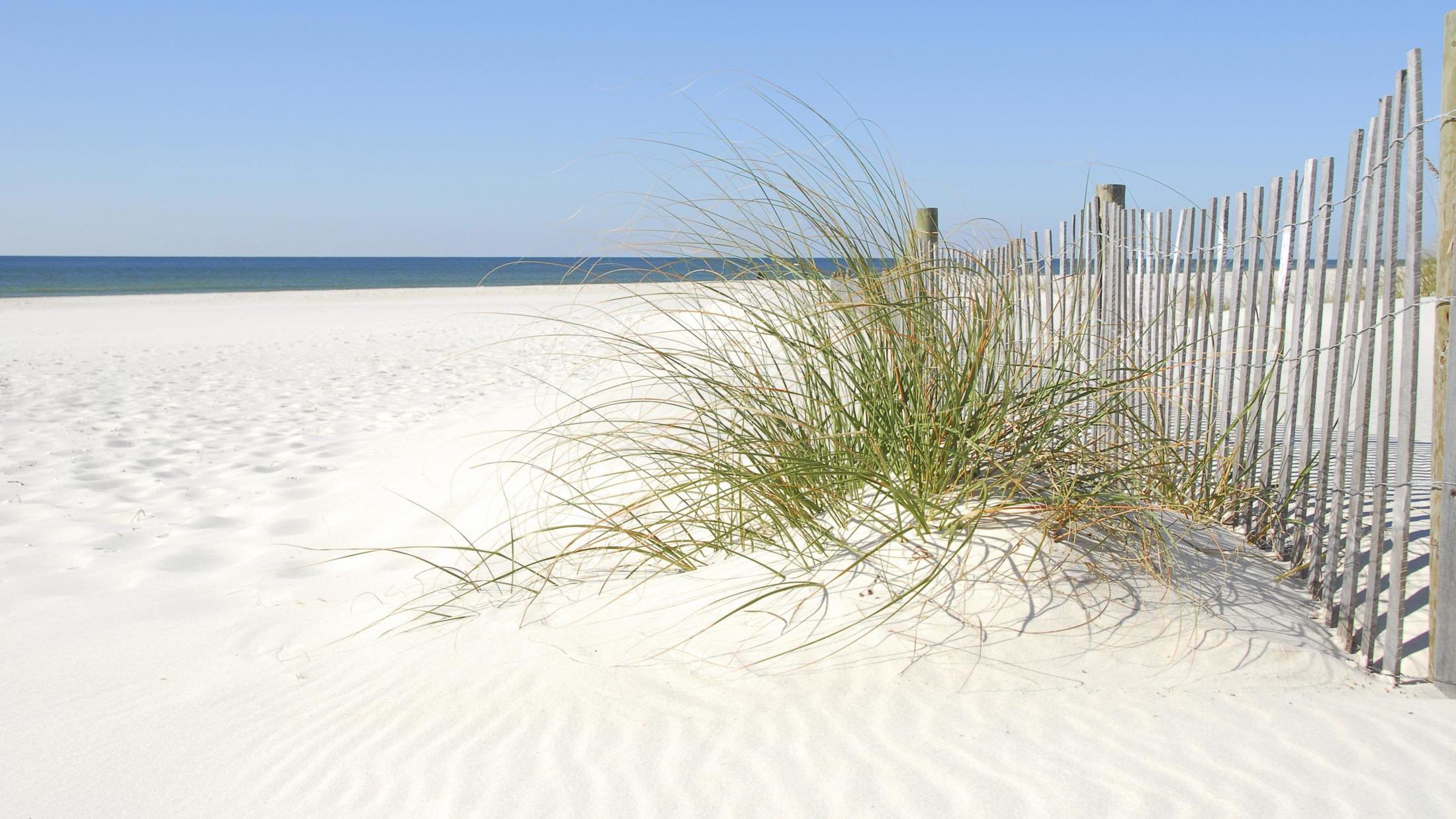 Find your dream home
