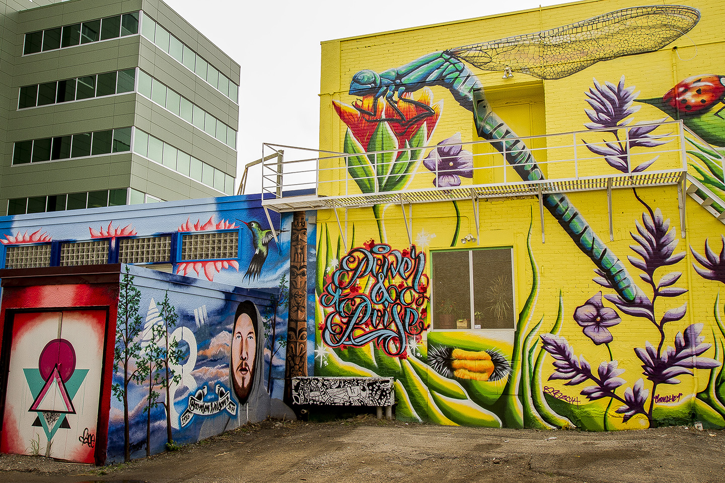 Two murals in downtown Red Deer one of a dragon fly with flowers and the other wall is a portrait of a man in the mountains