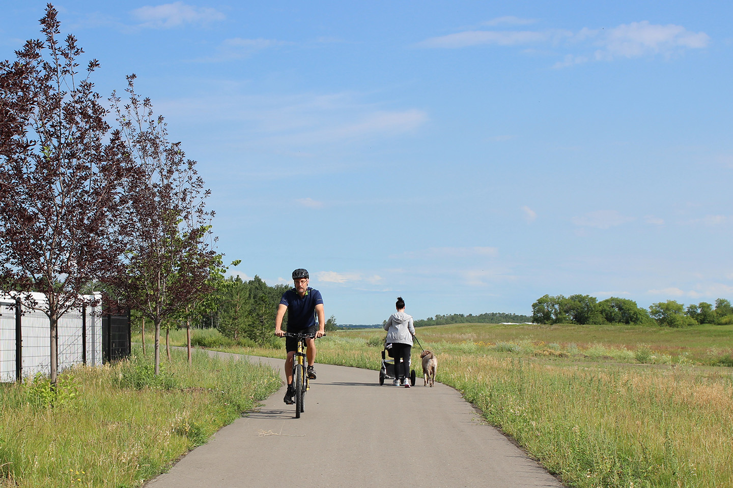 A bike rider and a pedestrian passing each other in opposite directions along the Great Canadian trail outside of Blackfalds