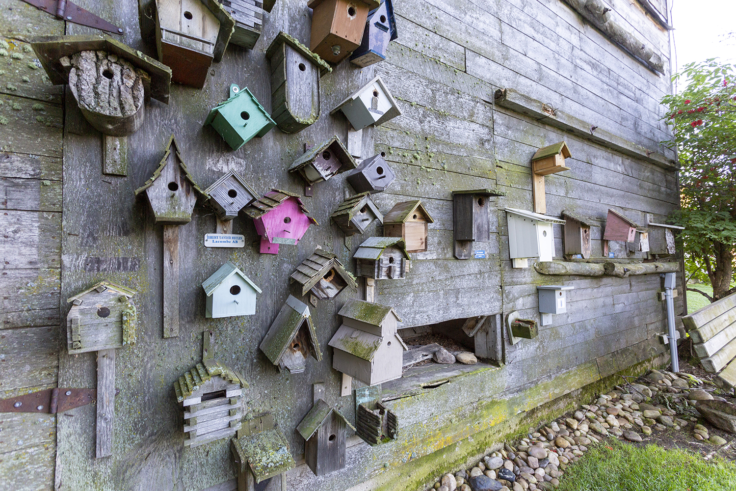 Bird houses on fence at the Ellis Bird Farm.