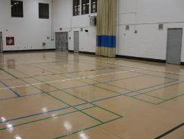 The gymnasium at Michener Recreation Centre