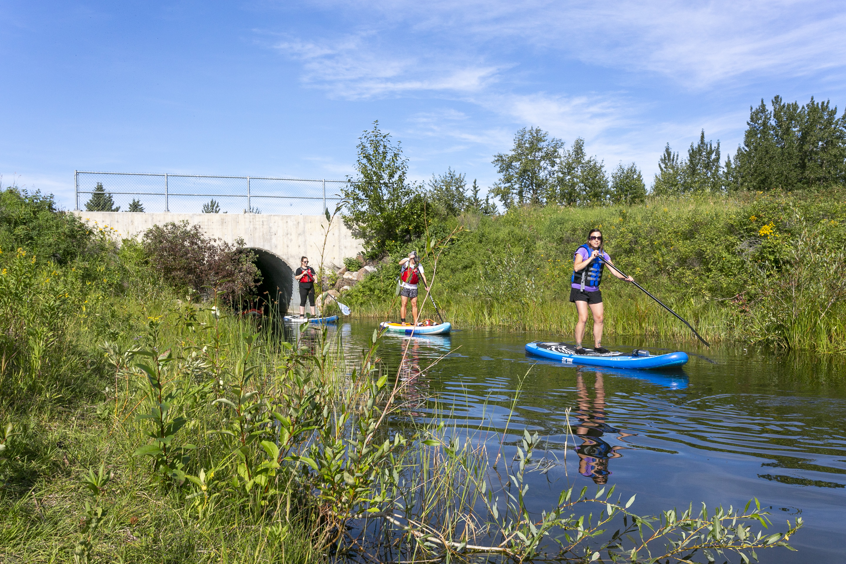 Paddle boarders on Three Mile Bend ponds with Moutain Surf Company