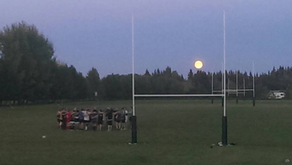 sports field at Titans Rugby Park