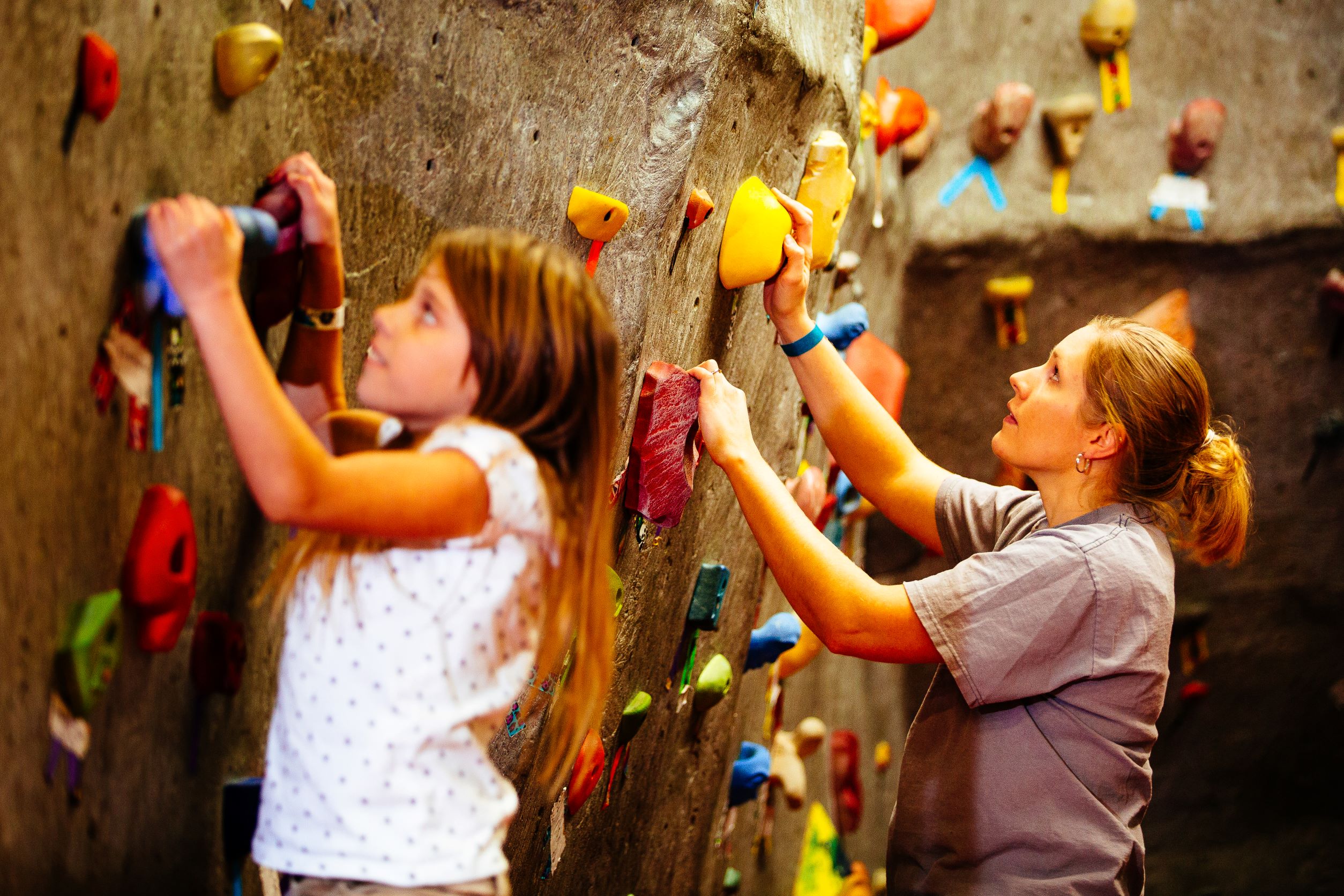 Image of the climbing wall at the Collicutt Centre