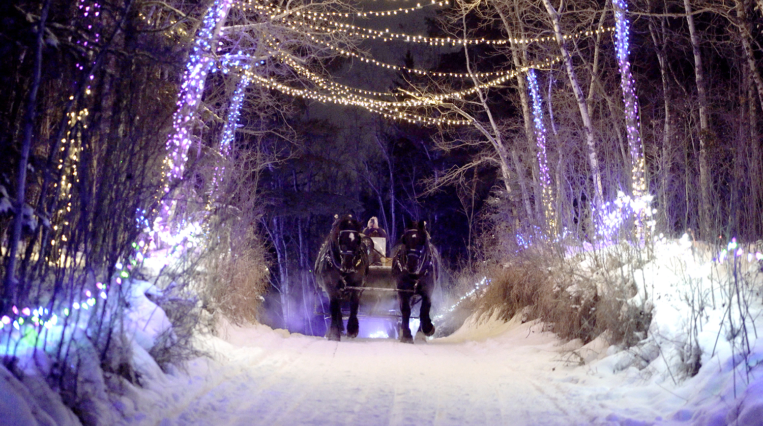 Heritage Ranch, Red Deer, Alberta - Christmas Lights Carriage Ride