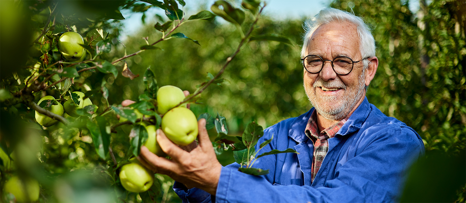 Schoolfruit, appels