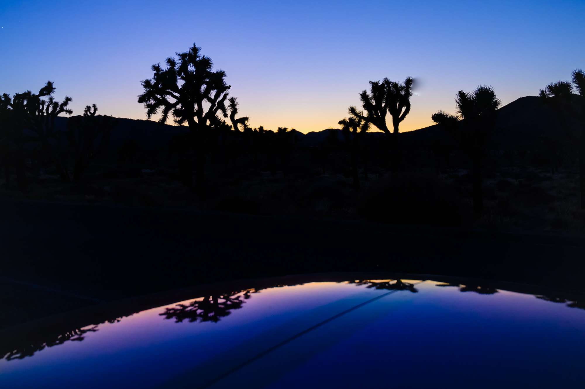 Clean Energy Consulting DG+