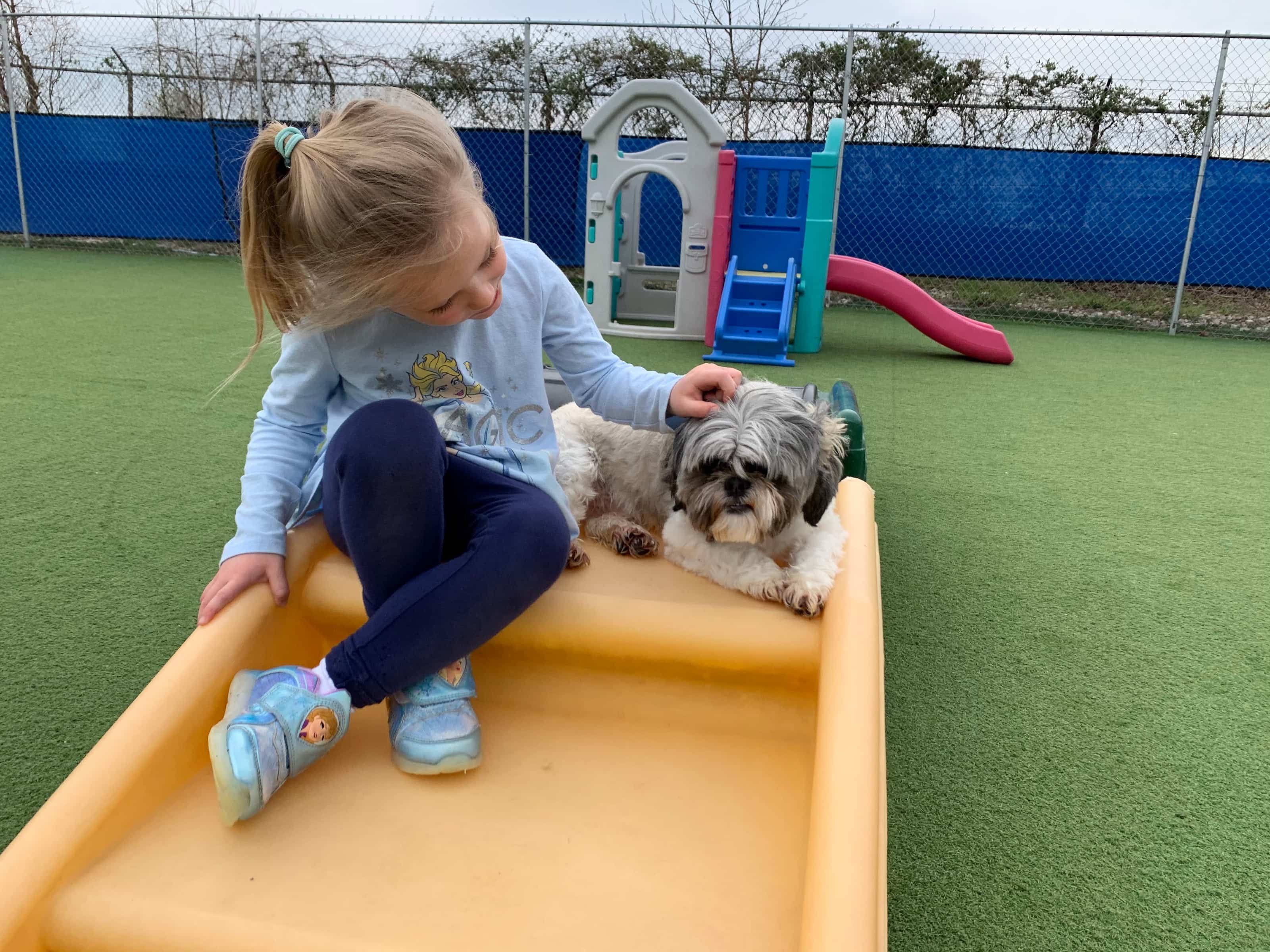 Cage Free Dog Boarding Bloomington IN Dog Daycare Bloomington IN.