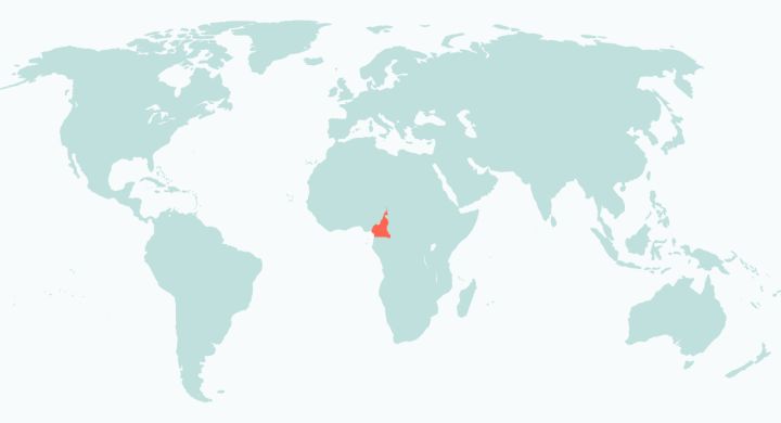 Discover Cameroon tours