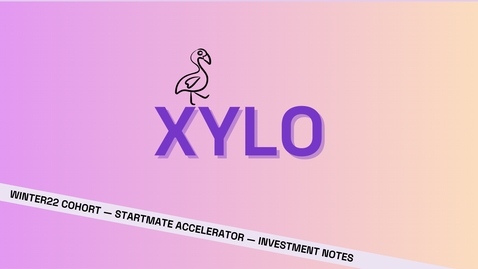 Investment notes Xylo Systems