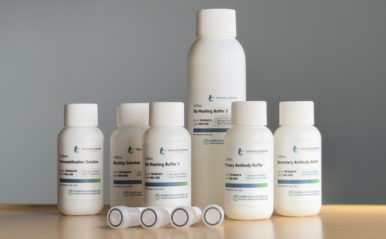 Neuronal Activity Tissue Clearing Kit | Brain-Wide Cellular Resolution ...