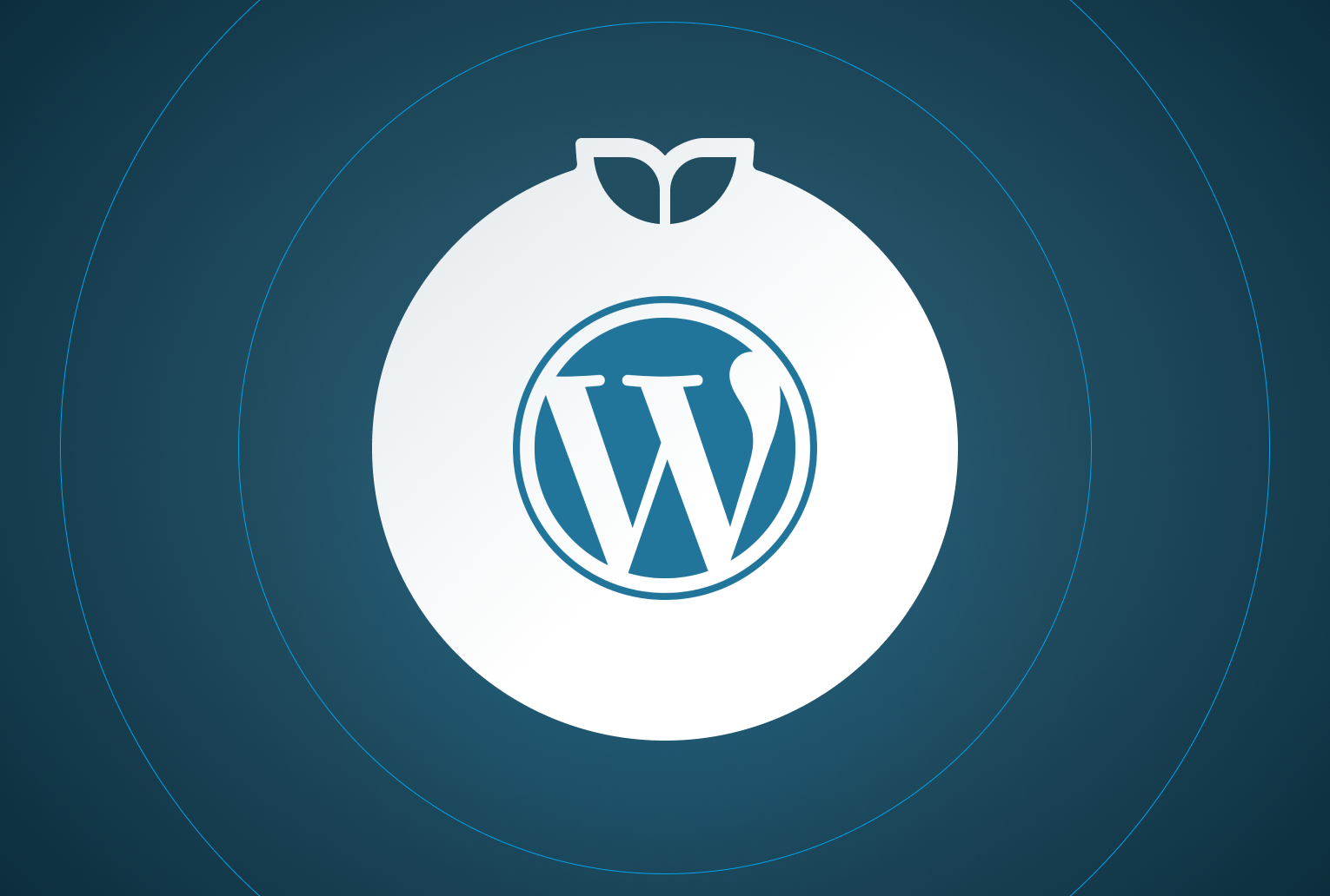 Announcing our WordPress Connector