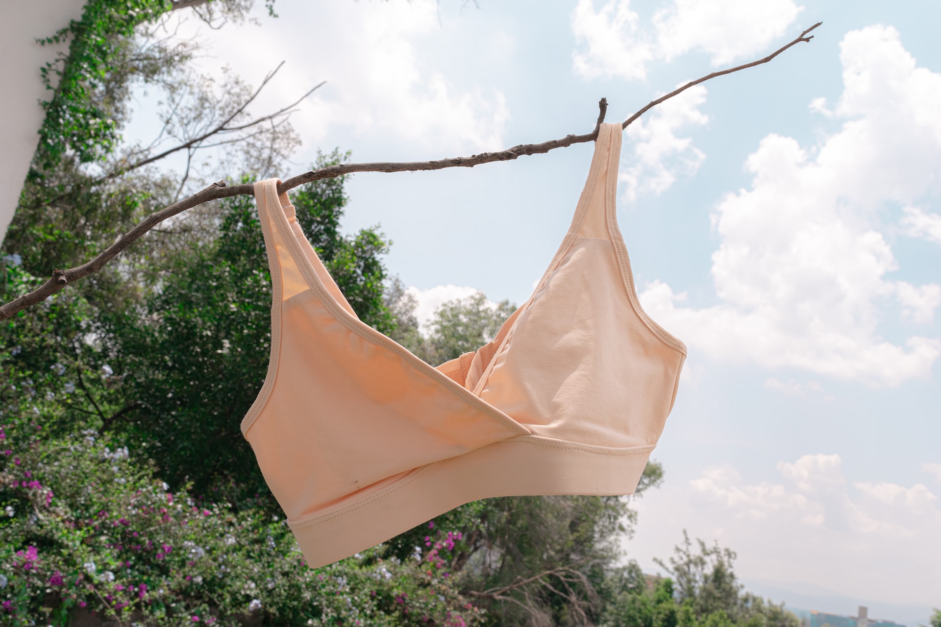 List of DTC Underwear Brands